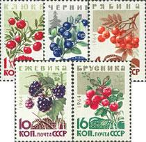 Soviet stamps 3132 wild berries 64 years new