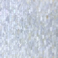 1*2 густое заклинание белое (модель веб -дна