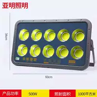 Yaming 500 -Watt Project White Light