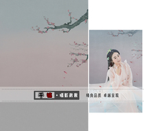 New photo studio plate womens square costume photo theme background photography photo background cloth peach blossom dust