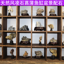 Natural Gobi stone Fengling stone sharpening stone agate Taihu stone fish tank fake mountain calamus bonsai with stone modeling stone