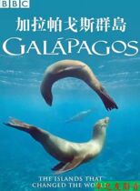 BD Blu-ray Documentary Galapagos Archipelago Galapagos Selected precious Mandarin Chinese characters non-dvd discs