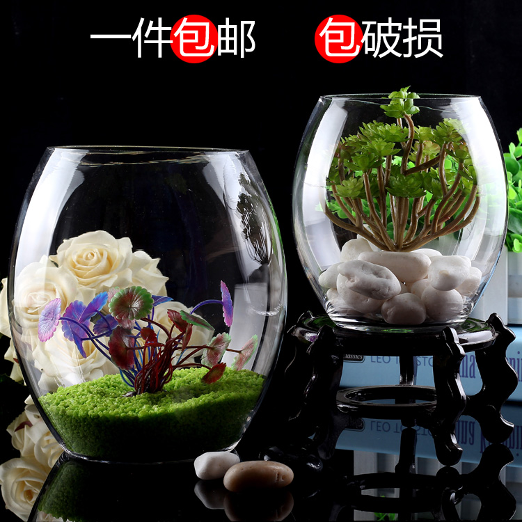 Circular Aquarium Hydroponics Transparent Glass Vase Fish Tank
