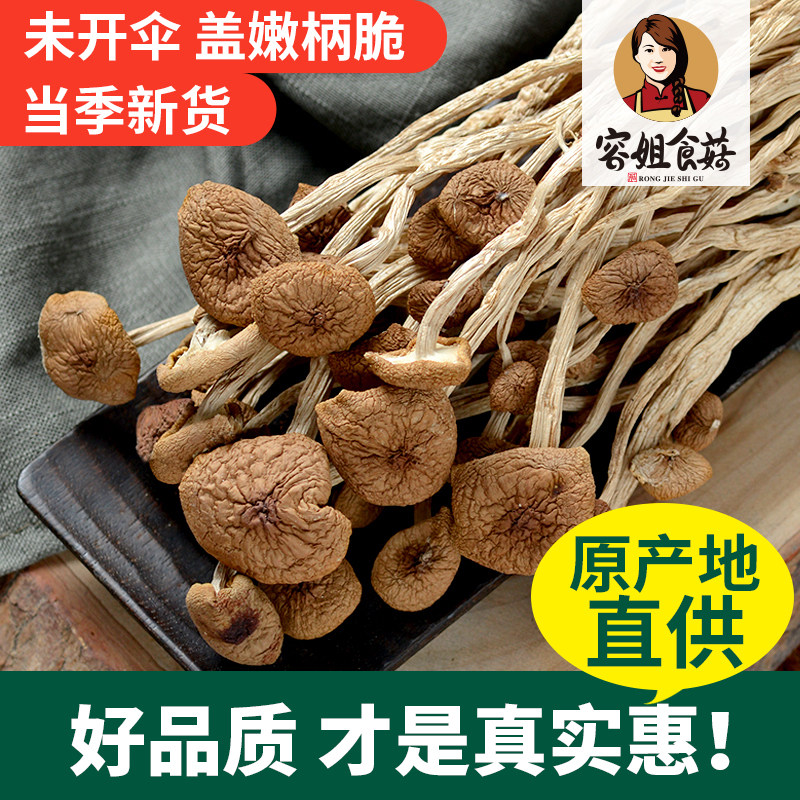 Sister Rong eats mushrooms, dried tea tree mushrooms without opening umbrella, dried tea tree mushrooms, self-cultivated without sulfur, Gutian specialty dry goods 250g