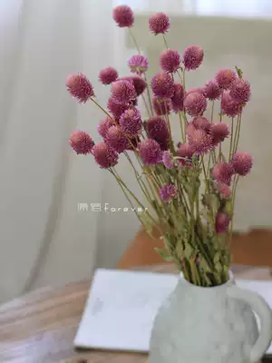 Natural air-dried flowers Qianri red light pink small flowers literary style home flower arrangement with bouquet Bed and breakfast posing decoration