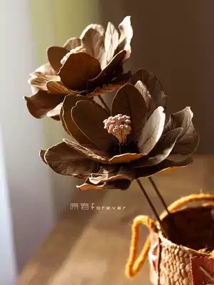 Autumn leaf dry flower retro homestay decoration diy hand-made creative art dry flower living room desktop decoration with dry branches