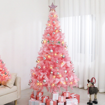 2024 new Christmas tree set decorative lighting encryption 1 5 meters 1 8 Nordic style romantic pvc pink Christmas tree