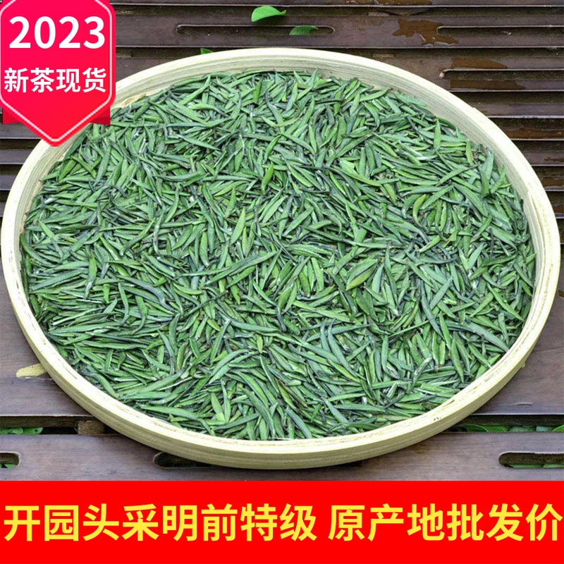 Sparrow tongue green tea 2023 new tea super bulk snow buds 500g Mingqian Maojian green buds Sichuan bamboo leaves fried green tea
