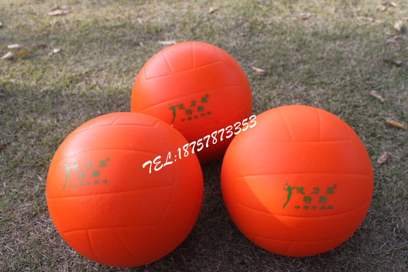 Ballon de volley-ball - Ref 2012584 Image 4
