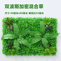 Чистая зеленая двойная персидская смешанная трава