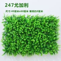 Рис белый 247 Ugari Cao