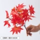 Красный кленовый лист/1 ветвь