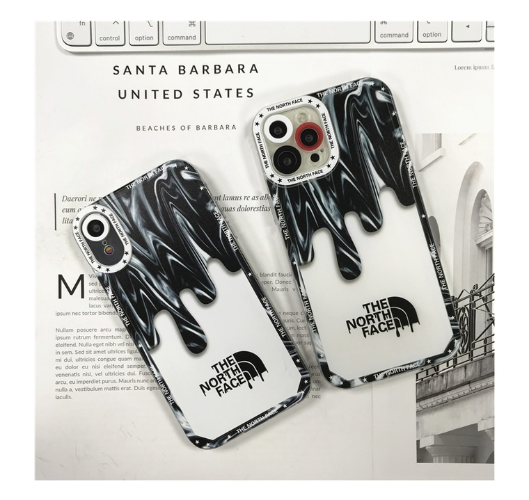 The North Face Melting Paint 13, 13 Pro, 13 Pro Max, 12, 12 Pro, 12 Pro Max iPhone Case