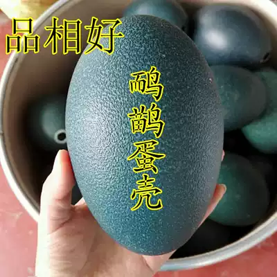 (eggshell )Emu eggshell Australian ostrich eggshell boutique This year's new products are good