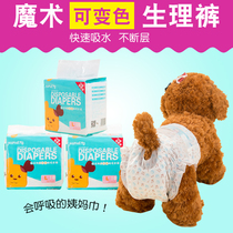 Pet Pooch Physio Pants Big Dog Kokie Teddy Paper Pee Pants Menstrual Pants Motherdog Anti Harassing Safety Pants than Bear
