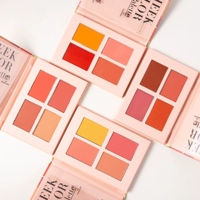 Holdlive blushing Shadow book nude trang điểm sửa chữa dưỡng ẩm làm sáng da sáng màu cao cam tự nhiên mới bắt đầu - Blush / Cochineal phan ma