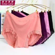 4 high-waisted lace modal belly womens underwear pure cotton fabric middle waist large size hip lift breifs Spring