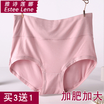 Womens underwear mother modal high waist plus fat fat plus big fat MM200 loose Jin middle-aged and elderly Cotton
