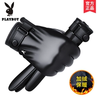 PB33BL [флис сгущается]