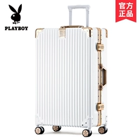 Бай Даодзин [граница сплава]