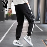 Playboy, весенние штаны, трендовые модные повседневные брюки, в корейском стиле