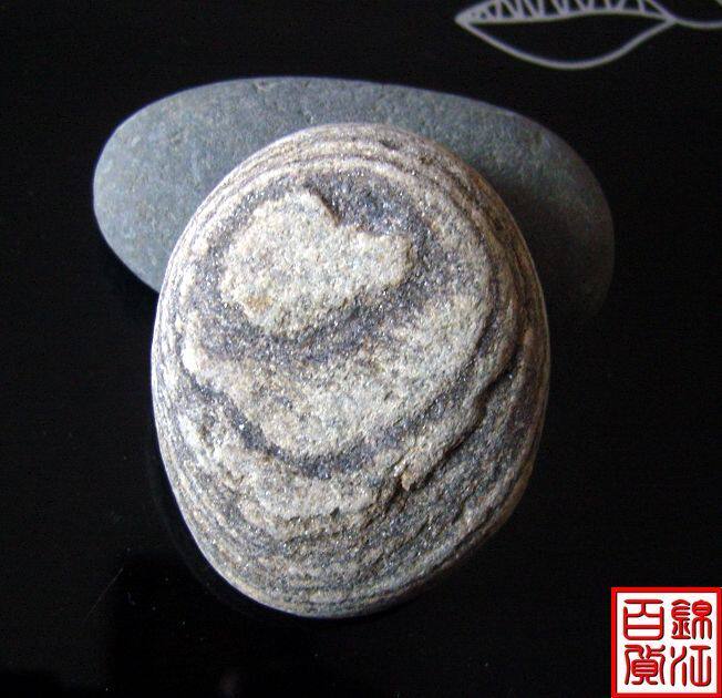 Special Free Post Natural Minjiang Quistone View Stone Text Stone (Dangxing)