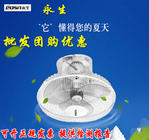 Yongsheng roof fan electric fan ceiling fan 16 inch ceiling home school industrial engineering fan dormitory shaking head FD40