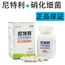 Nitelli Nitrifying Bacteria Digestive Bacteria Fish Tank Water Purification Capsules