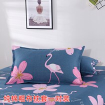 Pure cotton coarse cloth pillowcase pair of cotton thickened coarse cloth pillowcase pillow leather 2 only fit student dormitory pillowcase pillow core cover