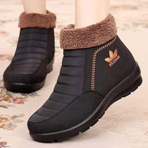 Old Lady cotton shoes middle-aged snow boots female mother shoes plus velvet thickened warm old Beijing old shoes a pedal