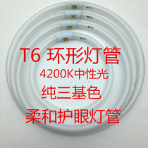  T5 55W 65W T6 65W Three primary color ring tube Round tube Headlight tube White light Neutral light