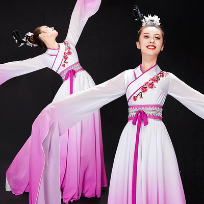 Chinese Folk Dance Dresses for women Water sleeve dance dress hanfu Chinese Classical Dance yangko Costume Fairy Dance Costumes 