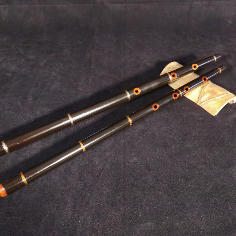 Mongolian Wuliang Haichaoer Chuwuer Hu Jia tsuur Professional performance