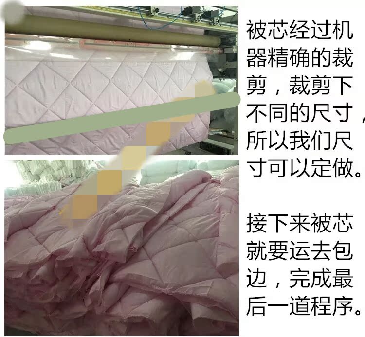 Beauty salon giường vẻ đẹp chăn bông chăn chăn massage Foot massage trị liệu mùa xuân và mùa thu là mùa đông dày vận chuyển - Quilt Covers chăn lụa tơ tằm