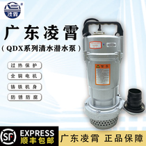 Guangdong Lingxiao QDX submersible pump 220V household high-lift pump Single-phase three-phase water pump pump 380V