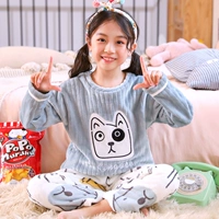 G Velvet 2121 Girls Orchid Cat Fish (та же модель для мальчиков)