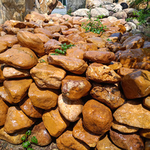Natural fine yellow wax stone raw stone yellow garden rockery stone stone field direct sales garden lawn landscape stone ornaments