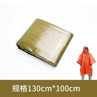 Зеленый дождевик