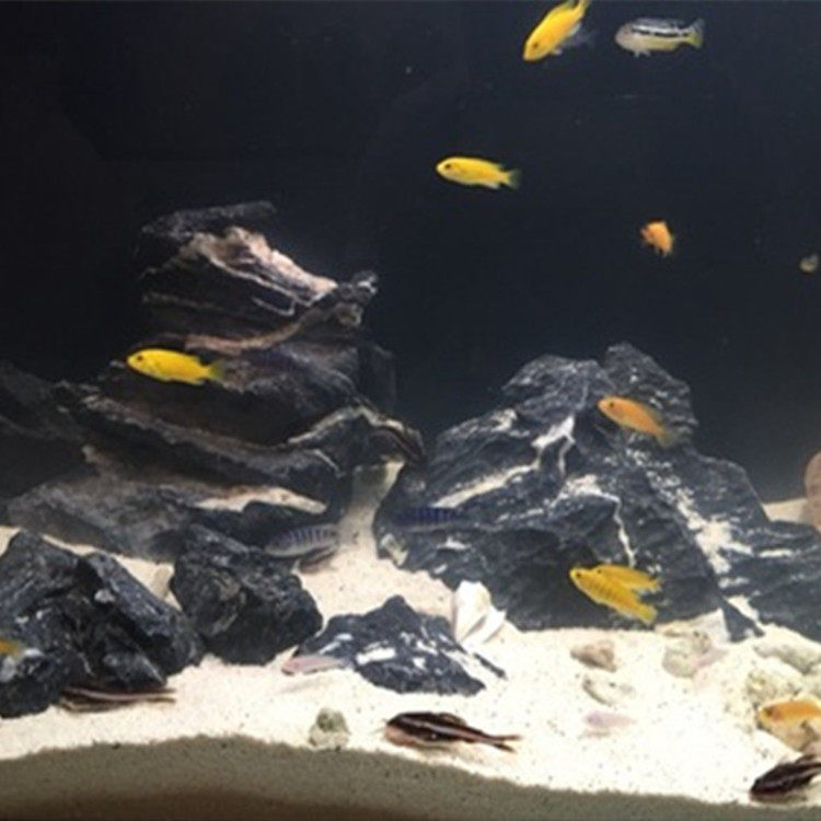 white aquarium sand