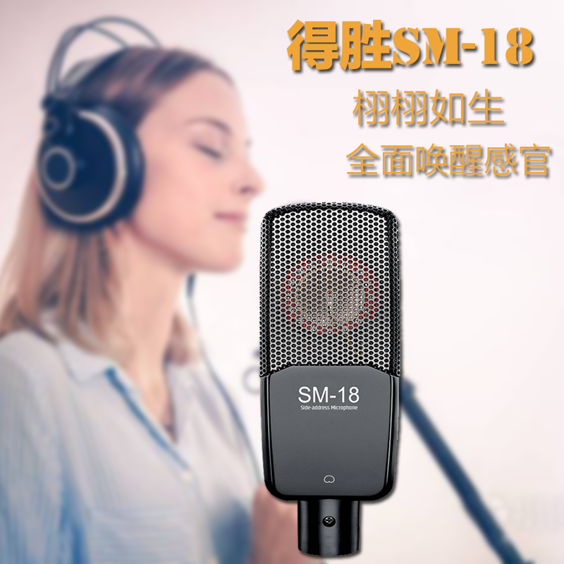 Takstar wins the SM - 18 capacitor microphone audio and singing microphone live computer equipment