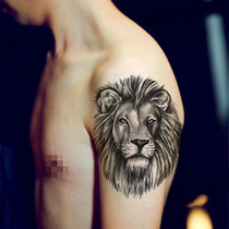Lion head tattoo sticker Waterproof tattoo Male Lion Tattoo Sticker Tattoo sticker Waterproof female long-lasting simulation tattoo