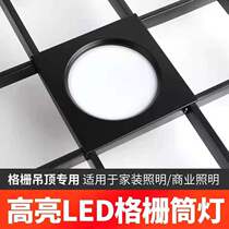 Led grid light 15x15 embedded grid ceiling special double head square cylinder light 10x10 grape shelf spotlight
