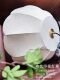 French Mid-Century Style Nanyang Chandelier, Spring Dawn Bedroom Lamp, American Retro Study Room Living Room Creative Fabric Flower Lamp