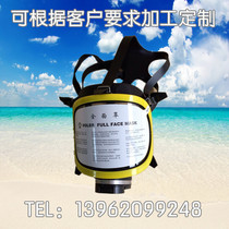 Gas mask respirator protection device full mask gas and dustproof full mask full mask protective face screen