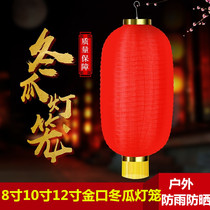Long lantern Winter Melon Lantern Kunming New Year New Year Shopping Mall Hotel Outdoor government decoration Street waterproof hanging decoration