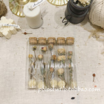 ins natural dried flower Cork rose decoration pendulum wishing bottle ins Wind gift