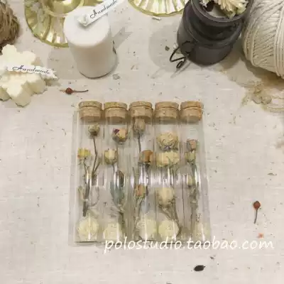 ins natural dry flower Cork rose decoration pendulum vow bottle ins Wind gift
