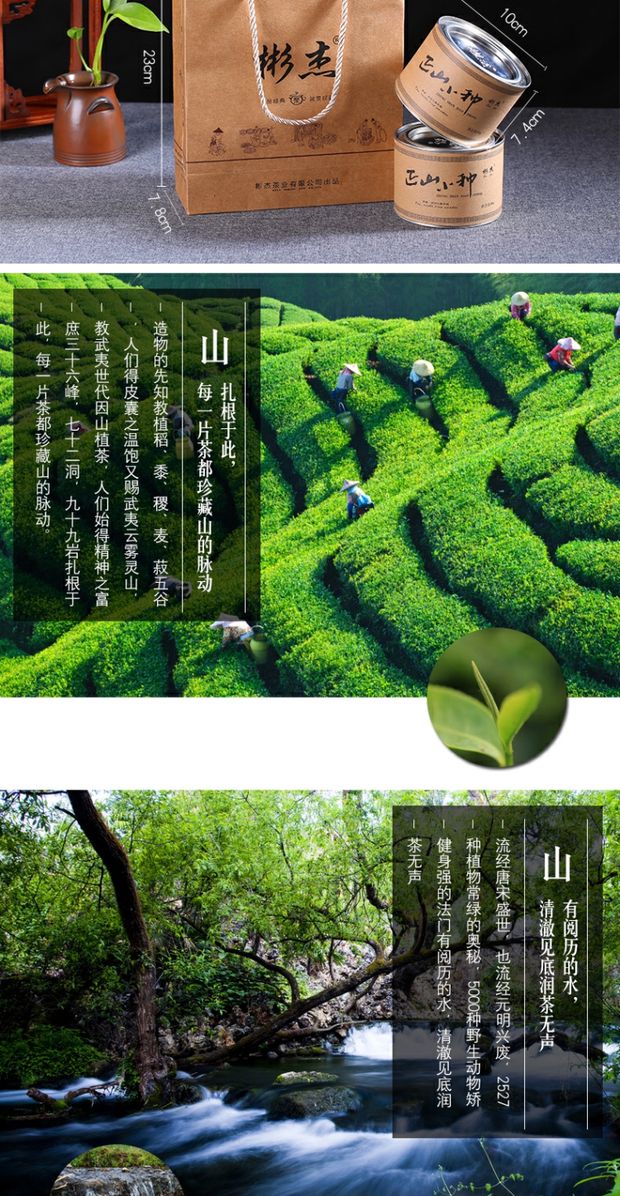 武夷山正山小种红茶4罐