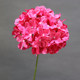 Wedding Artificial Single-Branch Glued Large Lollipop Crushed Jade Hydrangea Decorative Silk Flower Road Guide Flower Ball Ornaments Table Flower Art