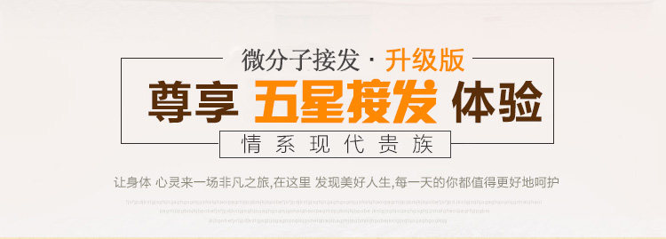 Extension mèches - Ref 220378 Image 10